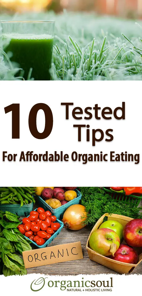 10-tested-tips-for-affordable-organic-eating-pin