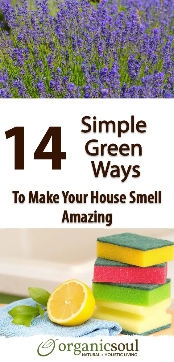 14-simple-green-ways-to-make-your-house-smell-amazing-pin