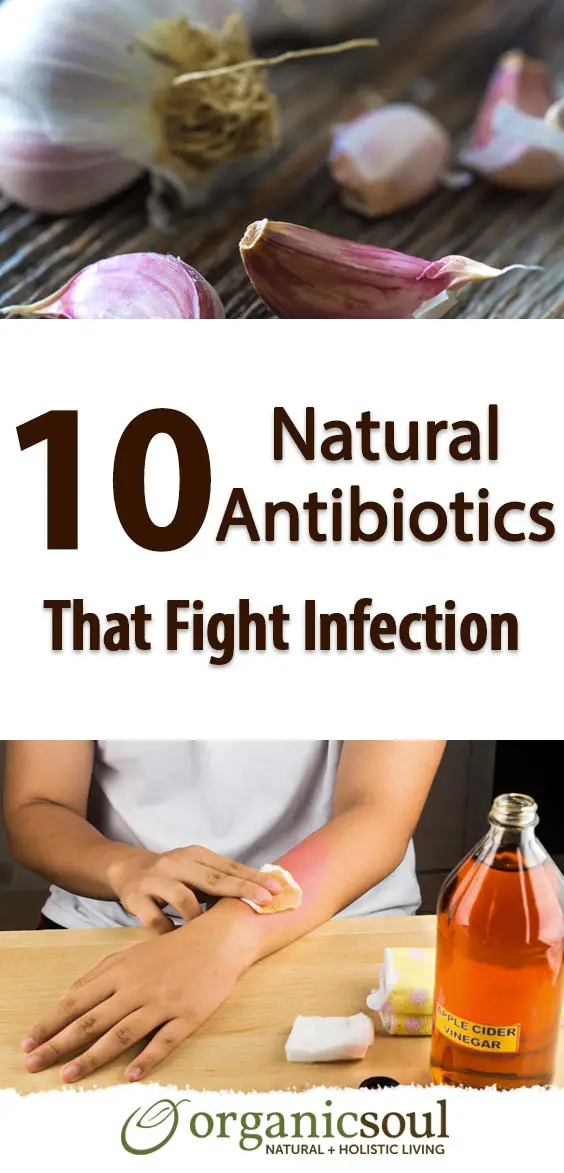 _10-natural-antibiotics-that-fight-infection-pin
