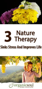 3 Proven Ways Nature Therapy Sinks Stress And Improves Life