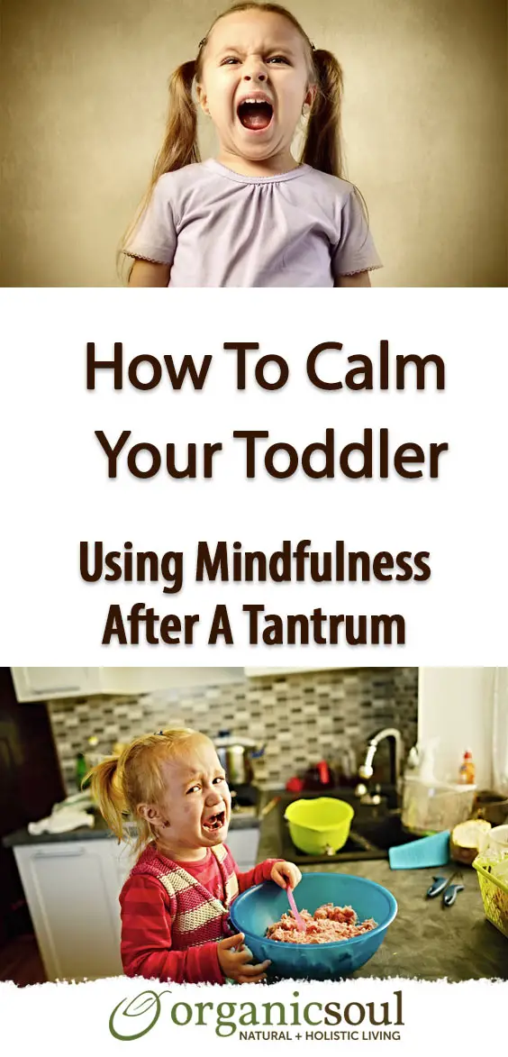 discover-how-to-calm-your-toddler-using-mindfulness-after-a-tantrum-pin